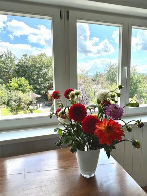 Sonnige Wohnung Am Lindenberg Lohfelden Dış mekan fotoğraf